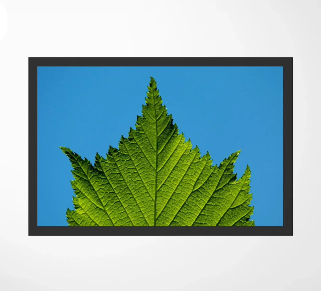 Green leaf doormat by anderm