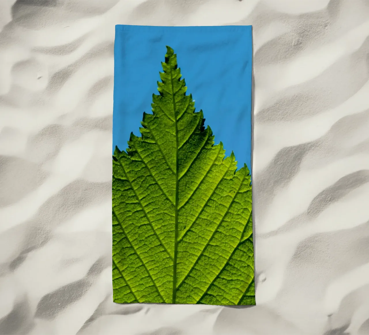 Foglia verde telo mare da anderm