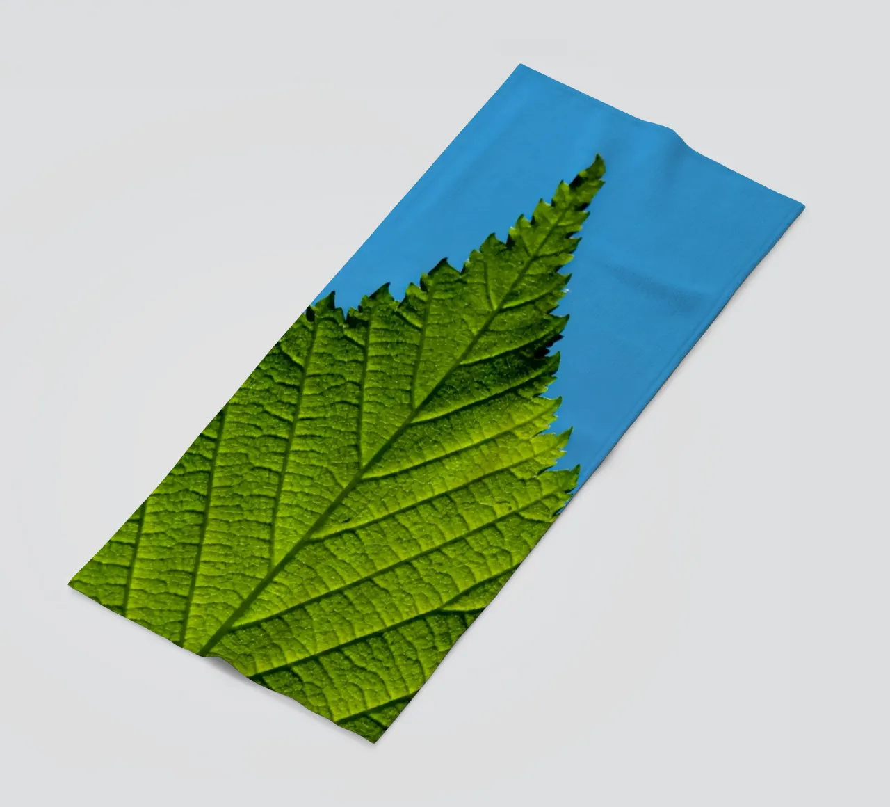 Foglia verde telo mare da anderm