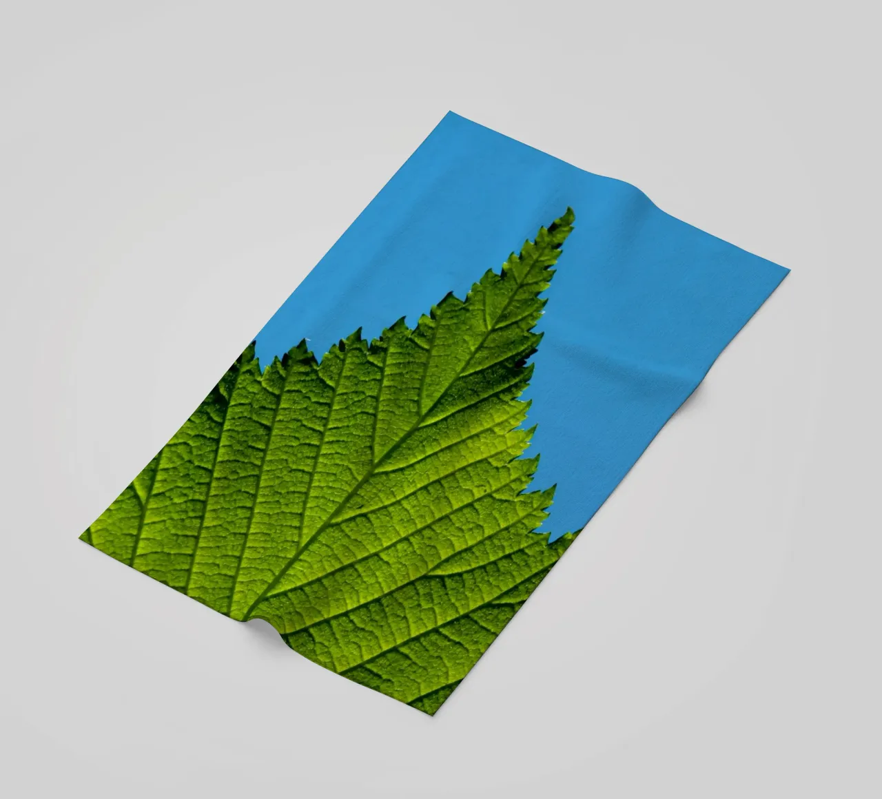 Foglia verde telo mare da anderm