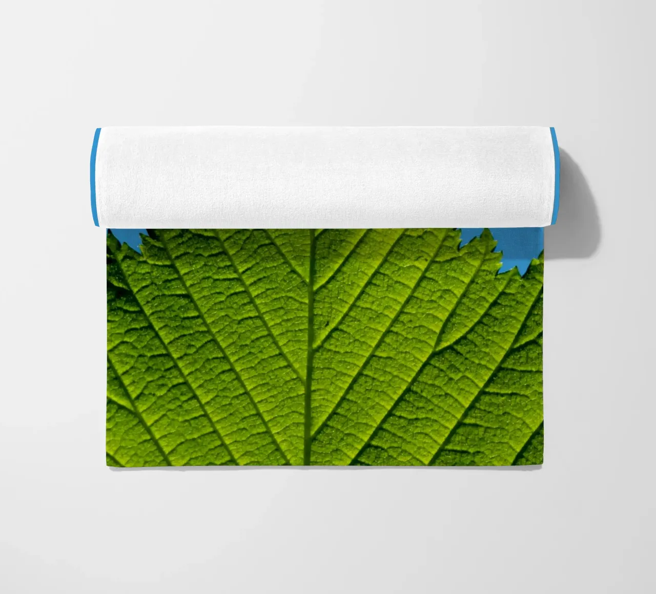 Foglia verde telo mare da anderm