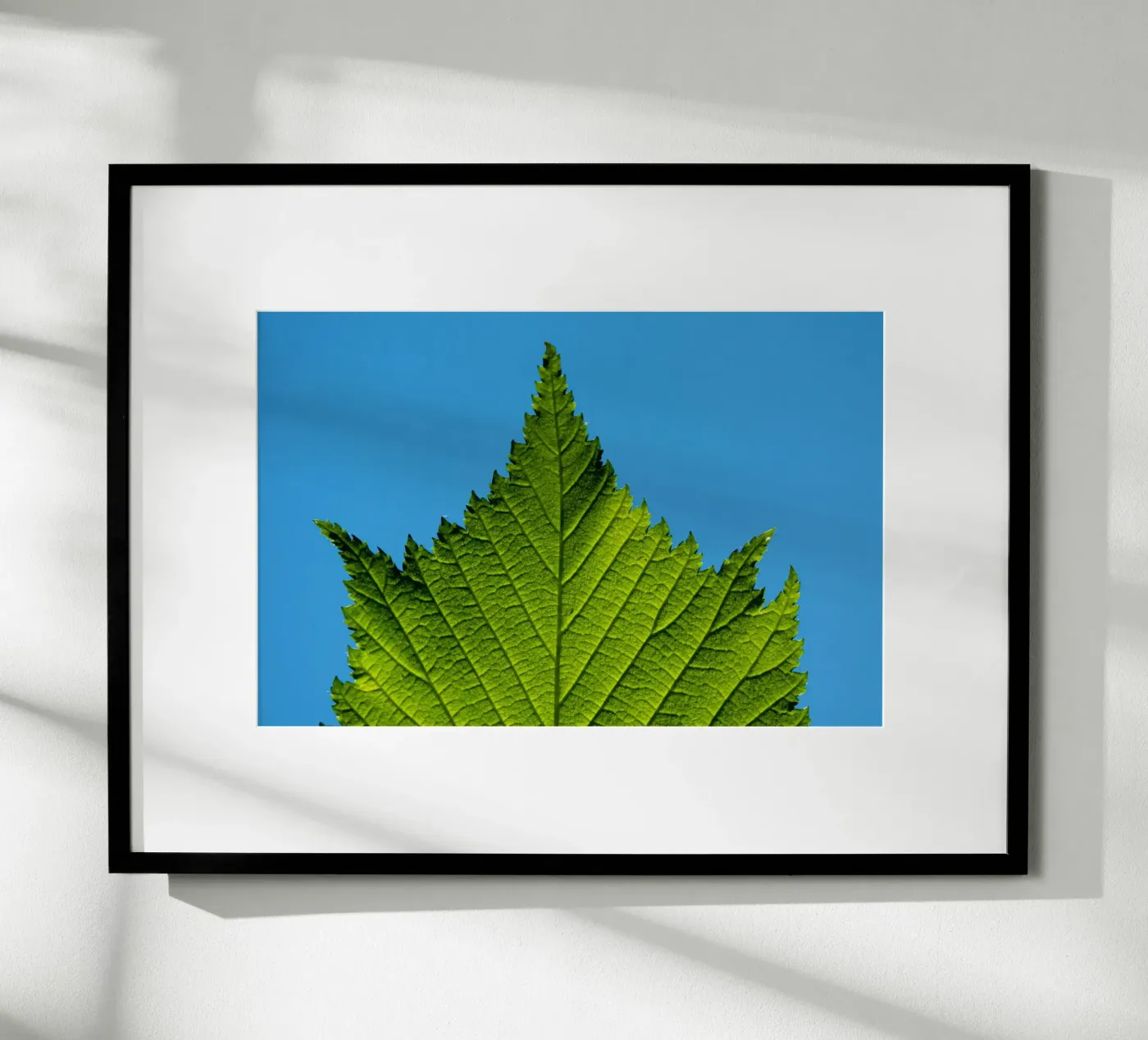 Green leaf poster by anderm