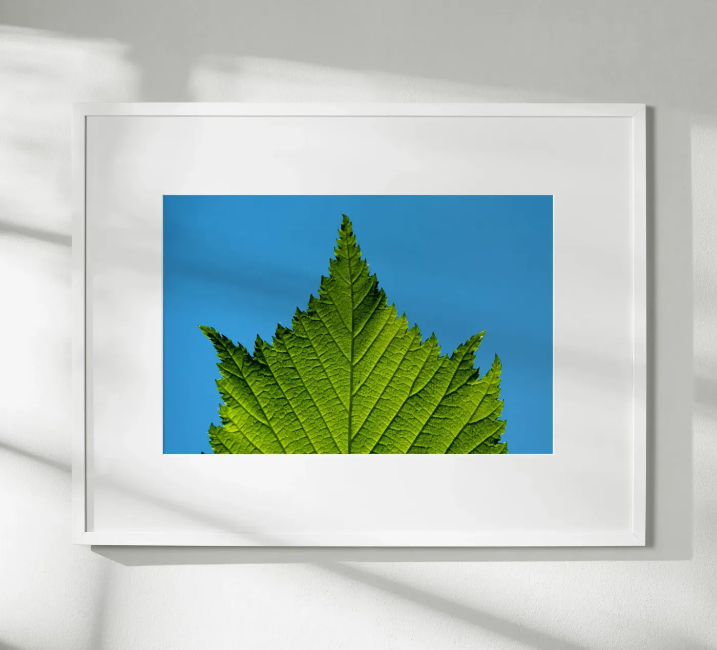 Green leaf poster by anderm