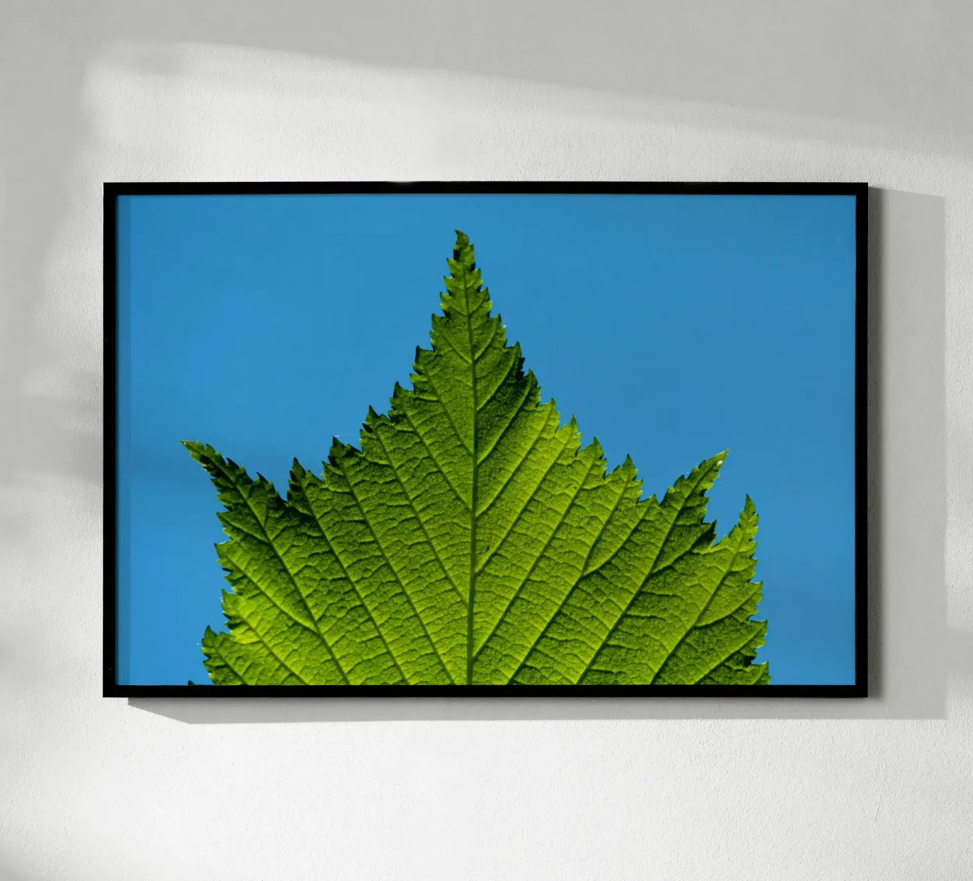 Green leaf poster by anderm