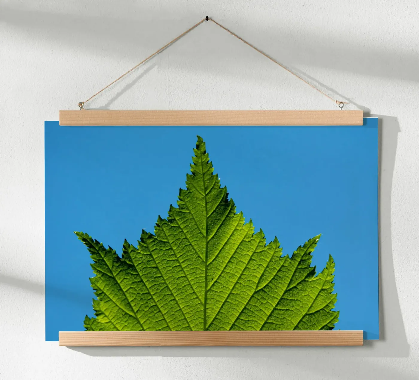 Green leaf poster by anderm