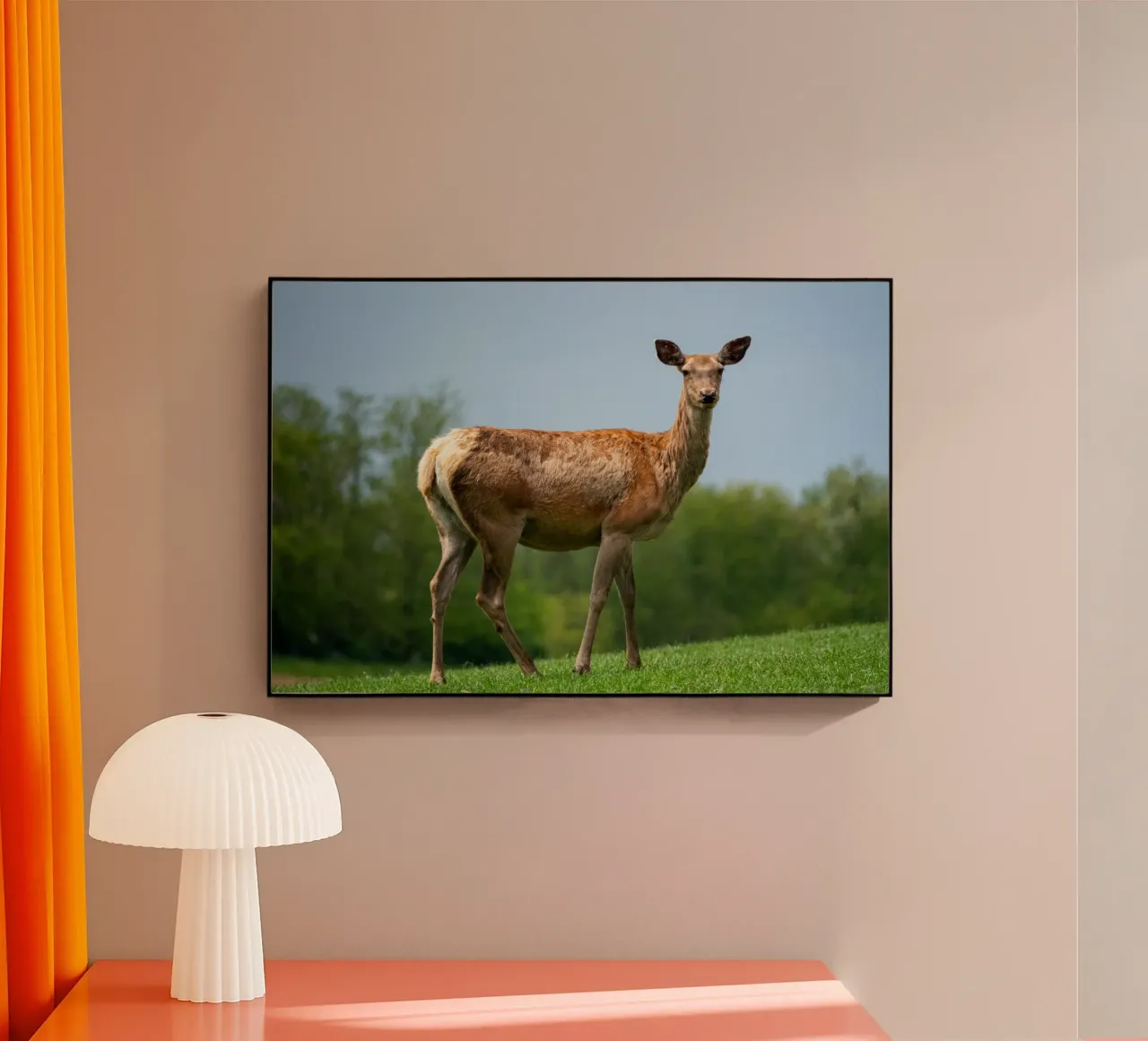 Capriolo sull'erba plexiglass da anderm