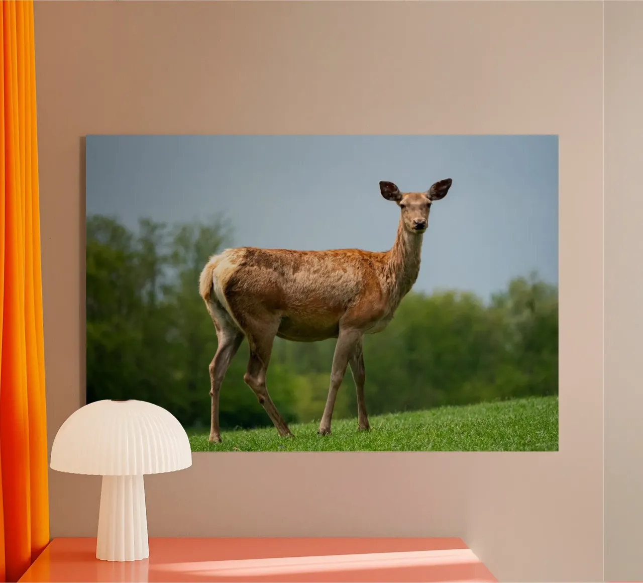 Capriolo sull'erba plexiglass da anderm