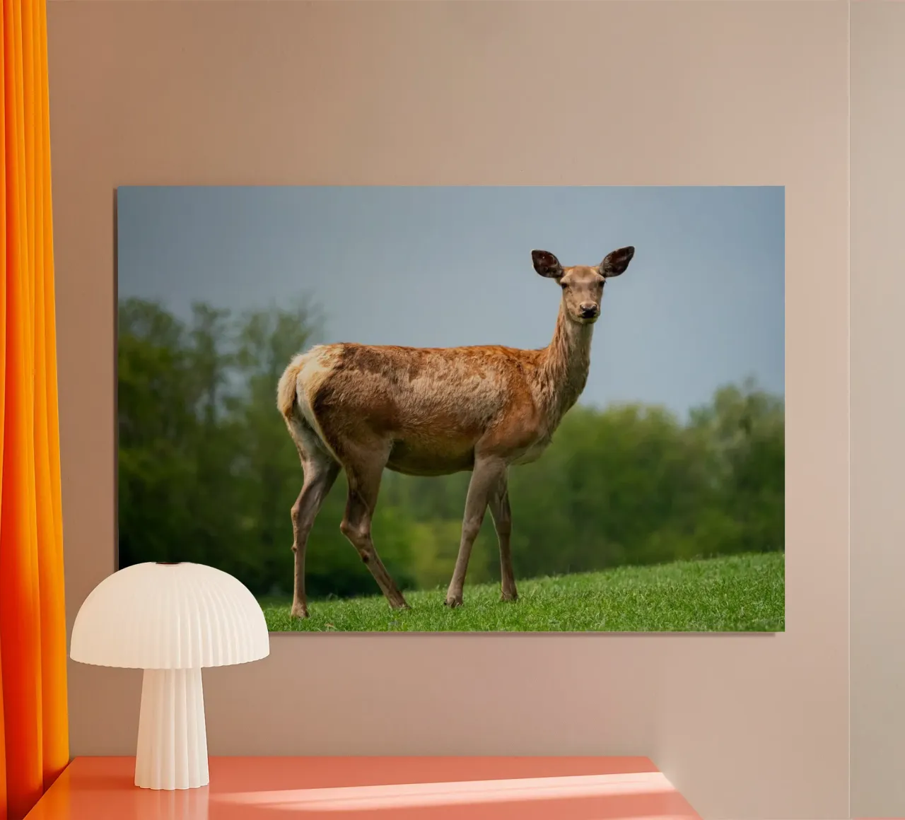 Capriolo sull'erba poster con telaio in plastica da anderm