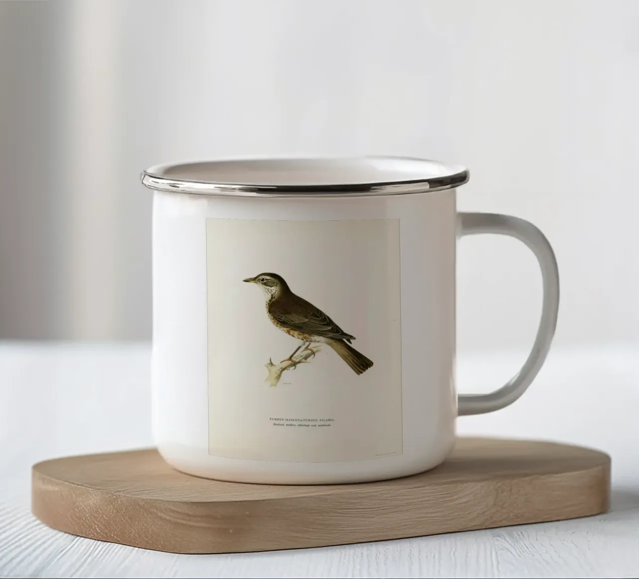 Redwing (Turdus iliacus) tazza in smalto da vintageshop