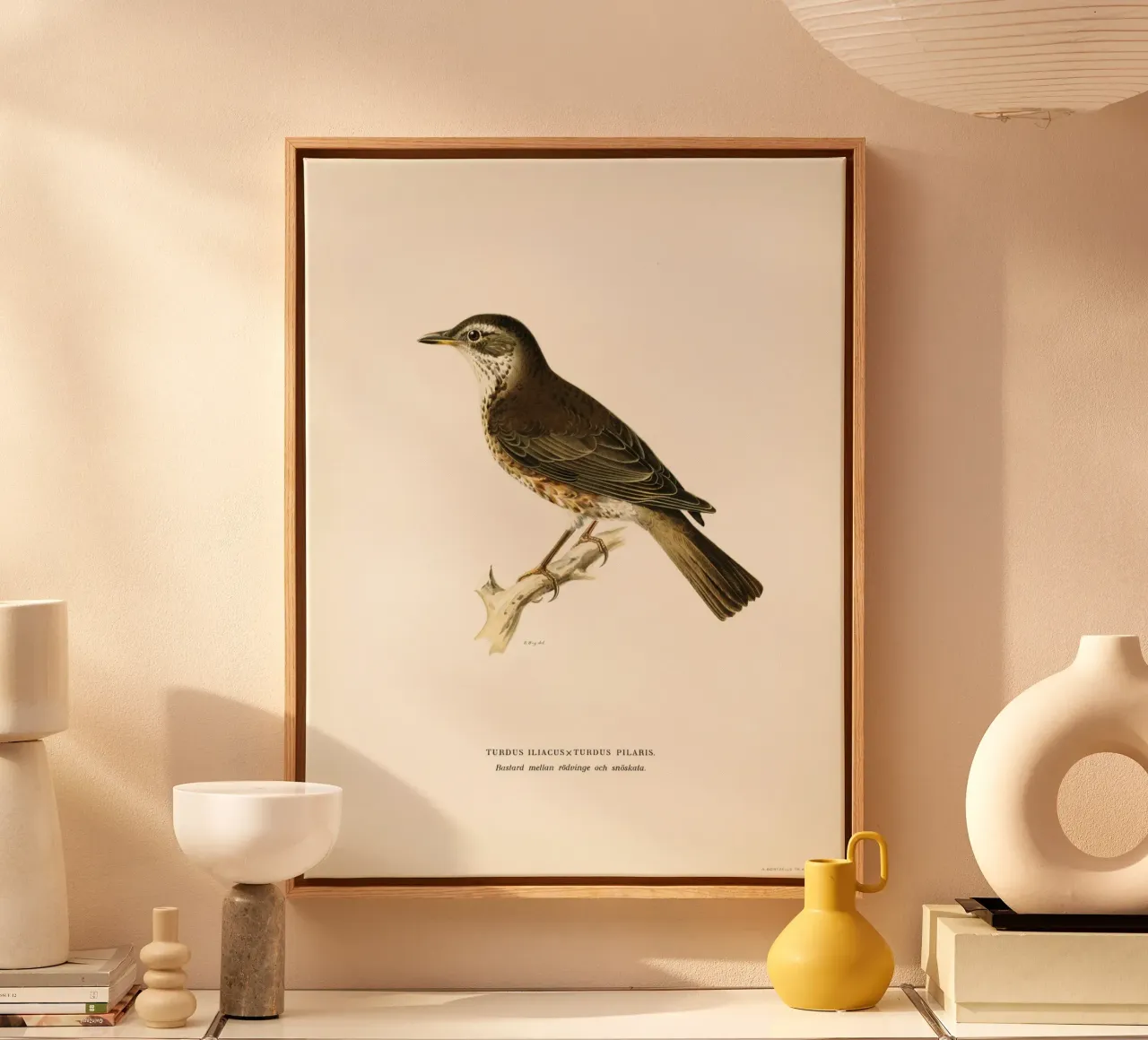 Redwing (Turdus iliacus) canvas with Floater frame by vintageshop