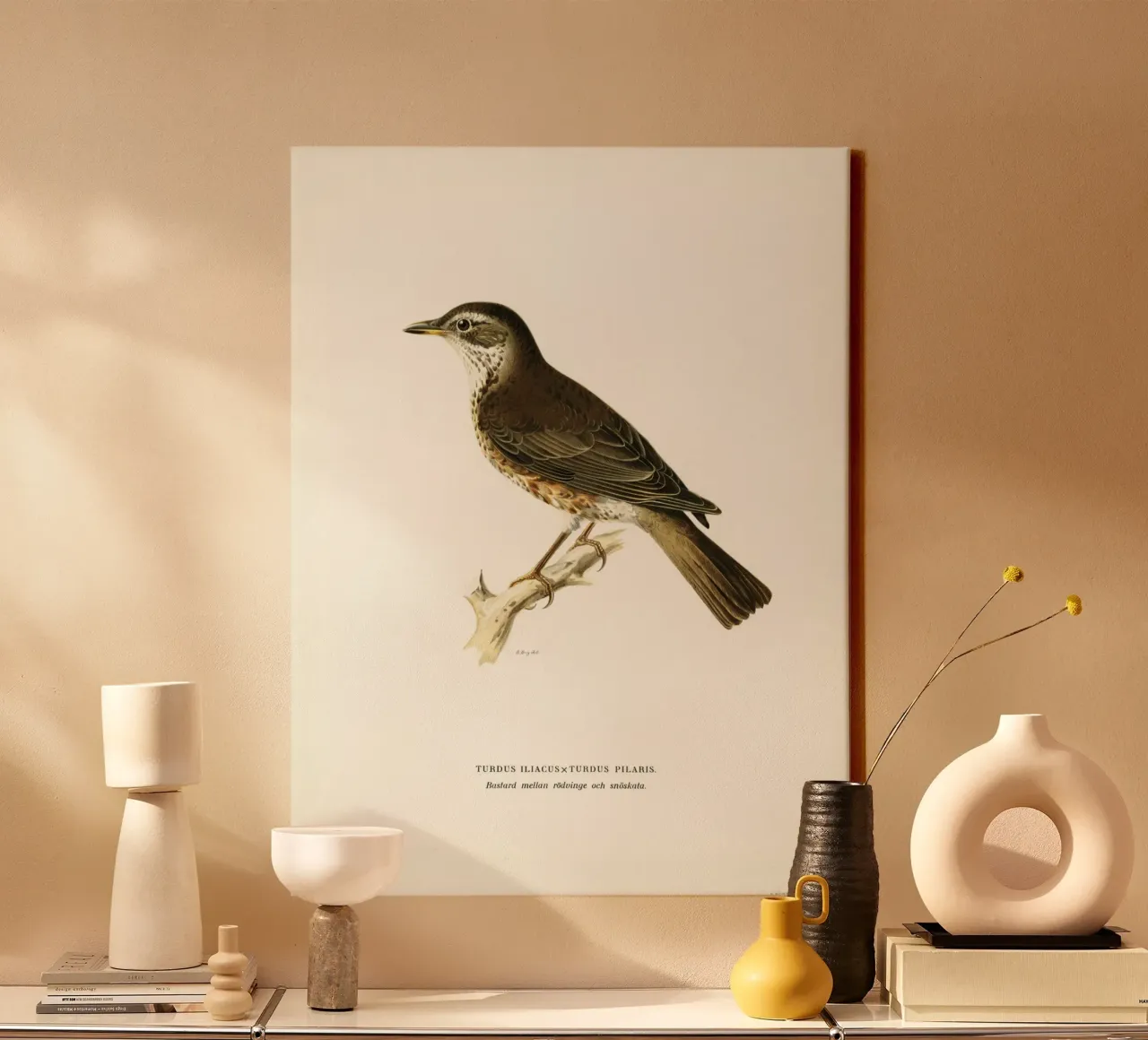 Redwing (Turdus iliacus) canvas with Floater frame by vintageshop