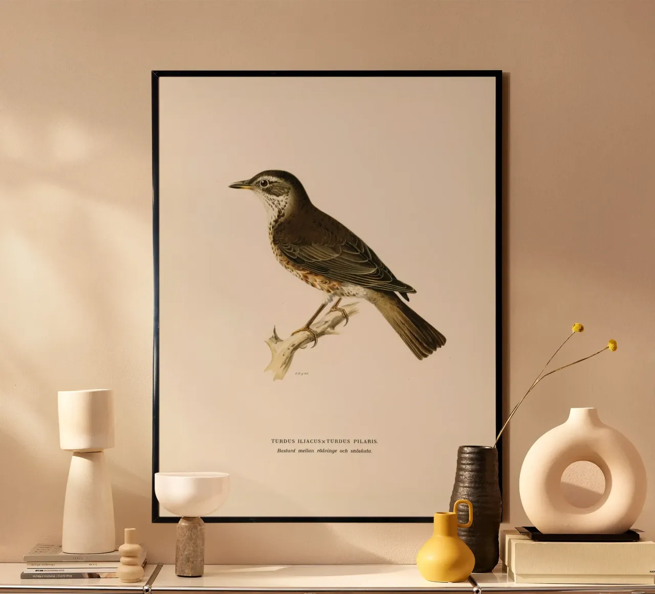 Redwing (Turdus iliacus) poster con telaio in plastica da vintageshop