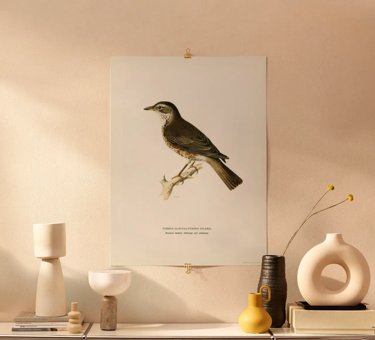 Redwing (Turdus iliacus) poster con telaio in plastica da vintageshop