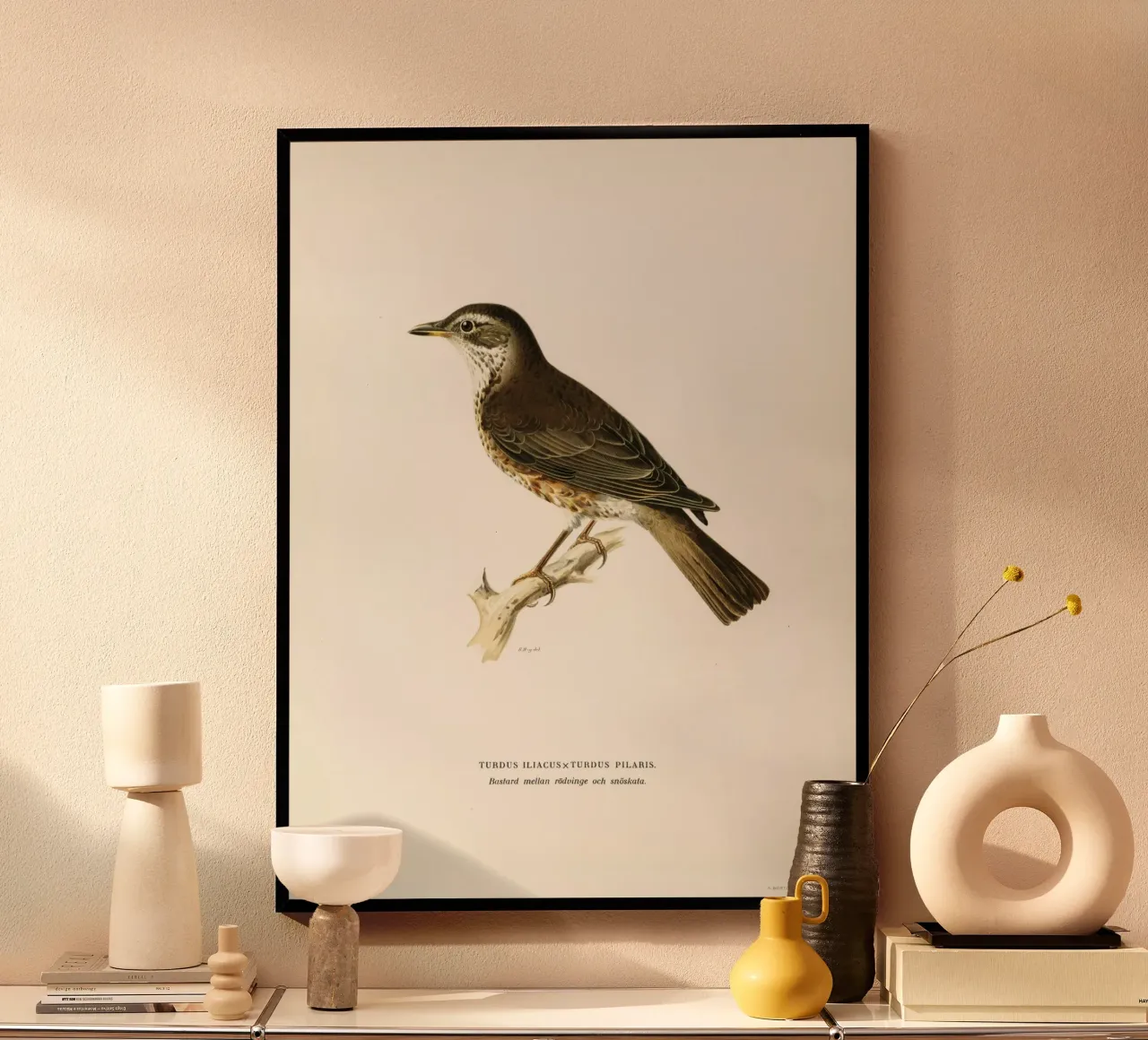 Redwing (Turdus iliacus) poster con telaio in plastica da vintageshop