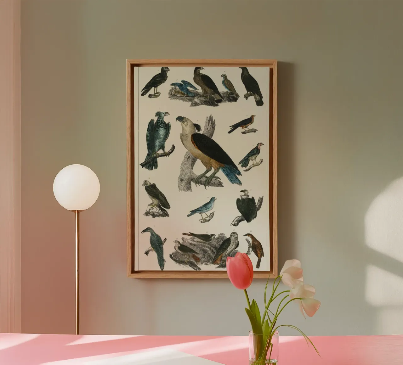 various type of birds canvas met Baklijst van vintageshop