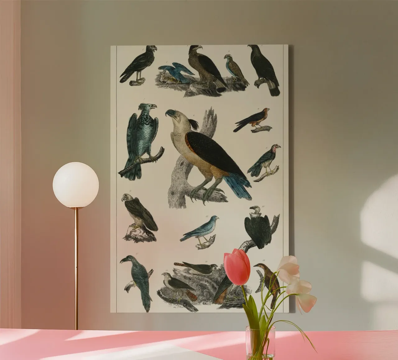 various type of birds canvas met Baklijst van vintageshop
