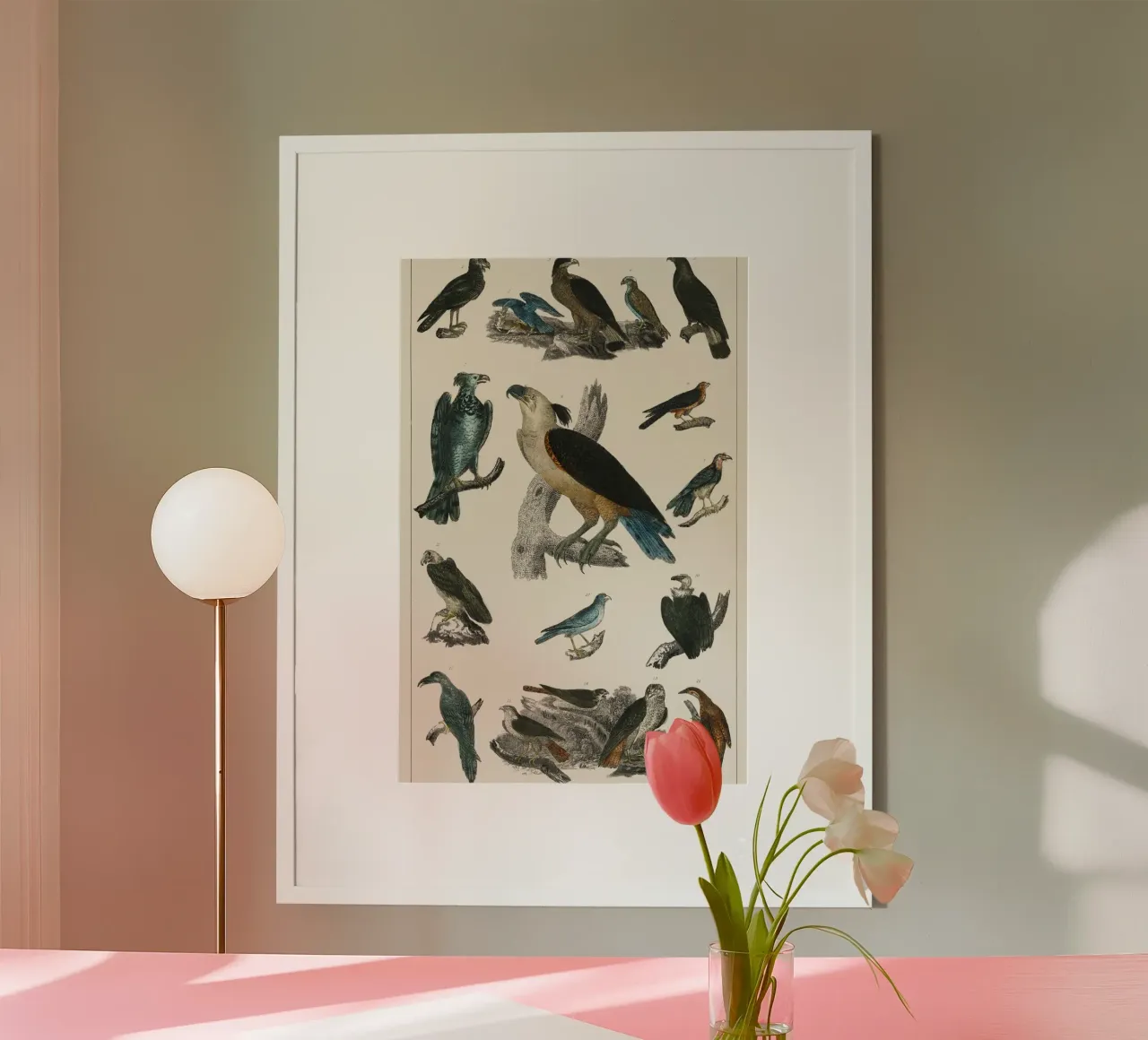 various type of birds poster con telaio in plastica da vintageshop