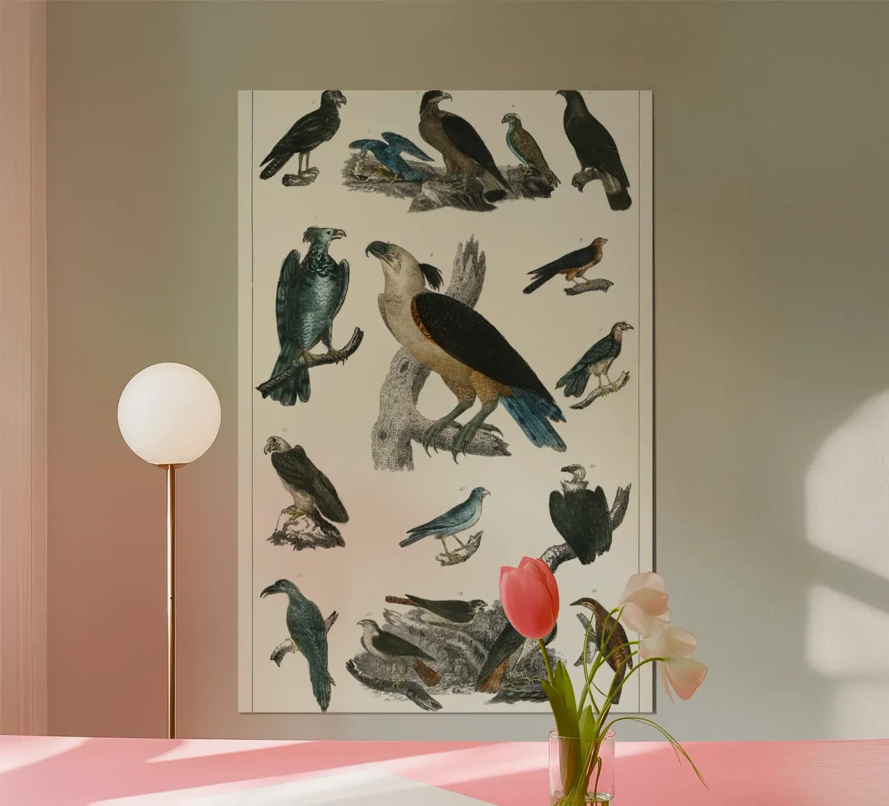 various type of birds poster con telaio in plastica da vintageshop