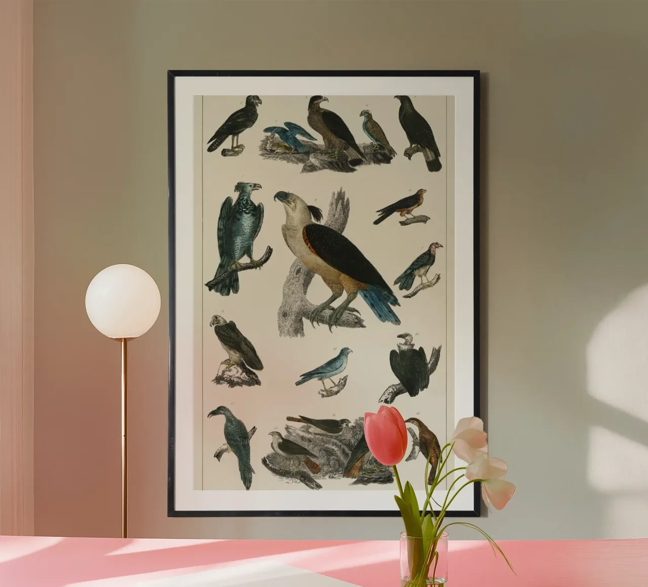 various type of birds poster con telaio in plastica da vintageshop