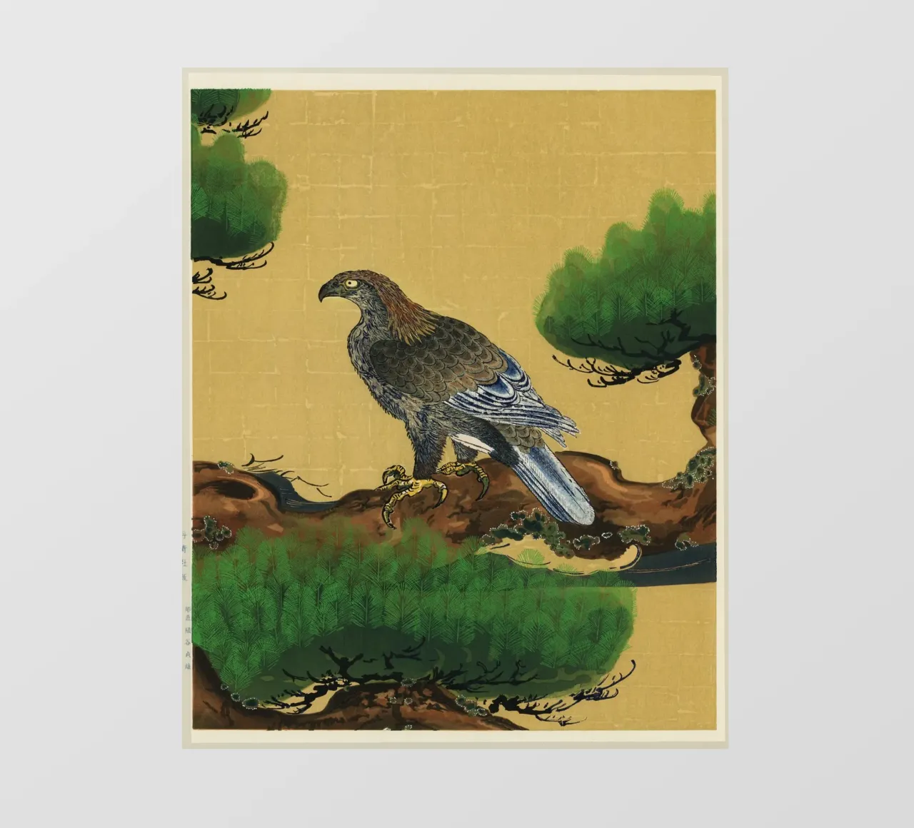 Pine and Eagle pellicola backlit da vintageshop
