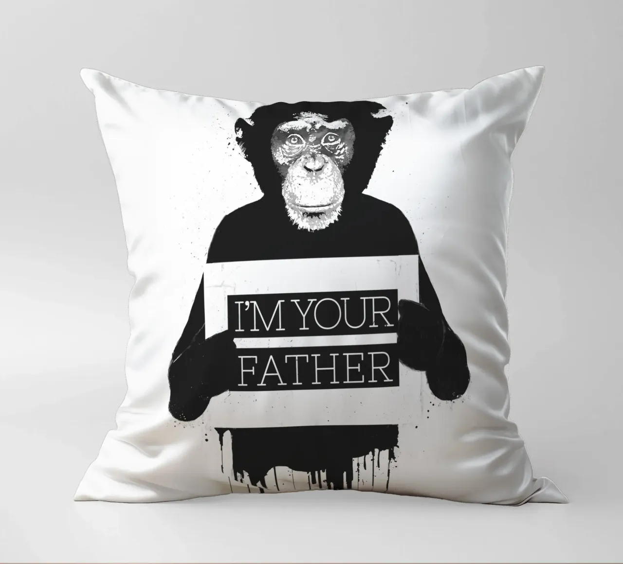 I'm your father II decorative cushion by Balazs Solti