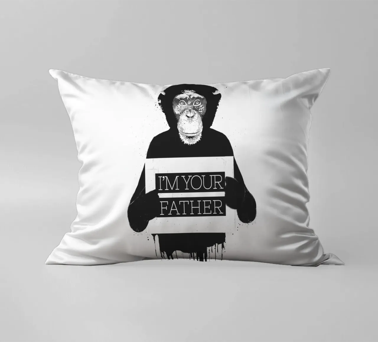 I'm your father II decorative cushion by Balazs Solti