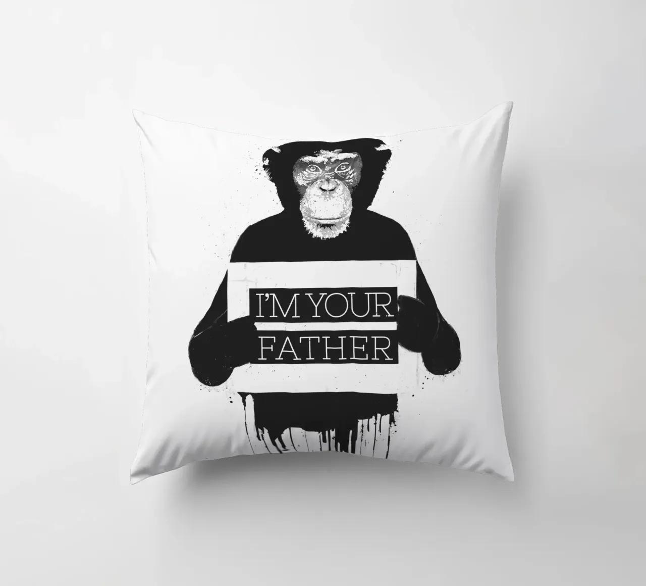 I'm your father II decorative cushion by Balazs Solti