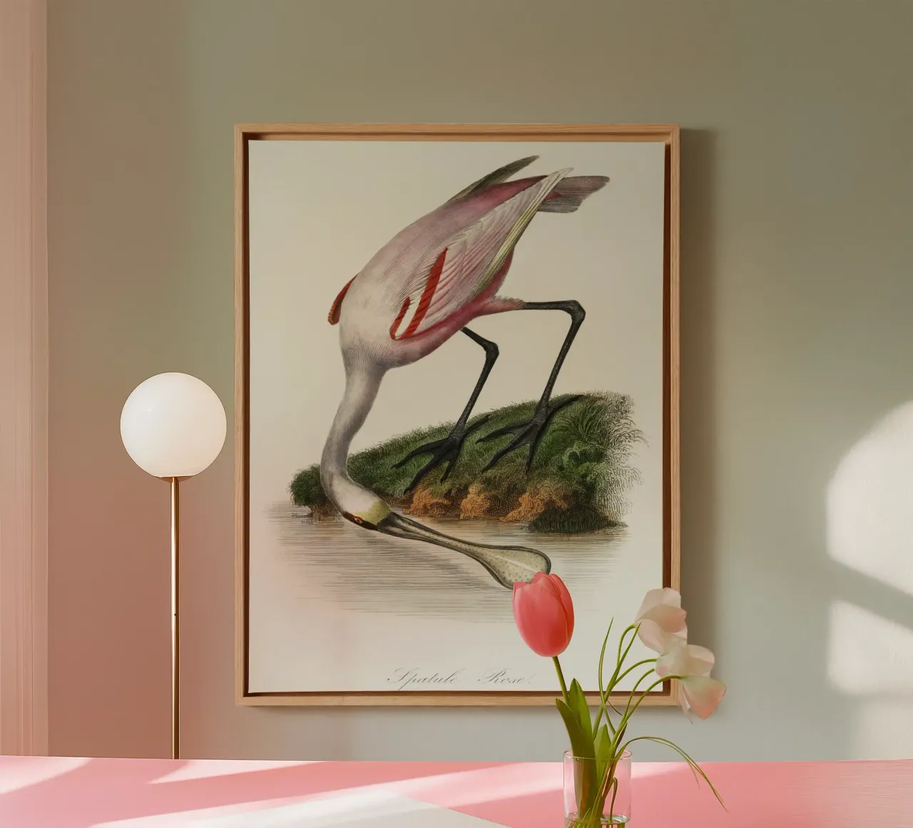 a roseate spoonbill by the water canvas with Floater frame by vintageshop