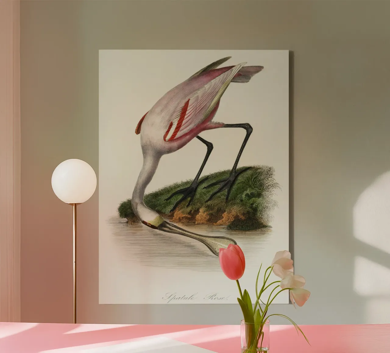 a roseate spoonbill by the water canvas with Floater frame by vintageshop
