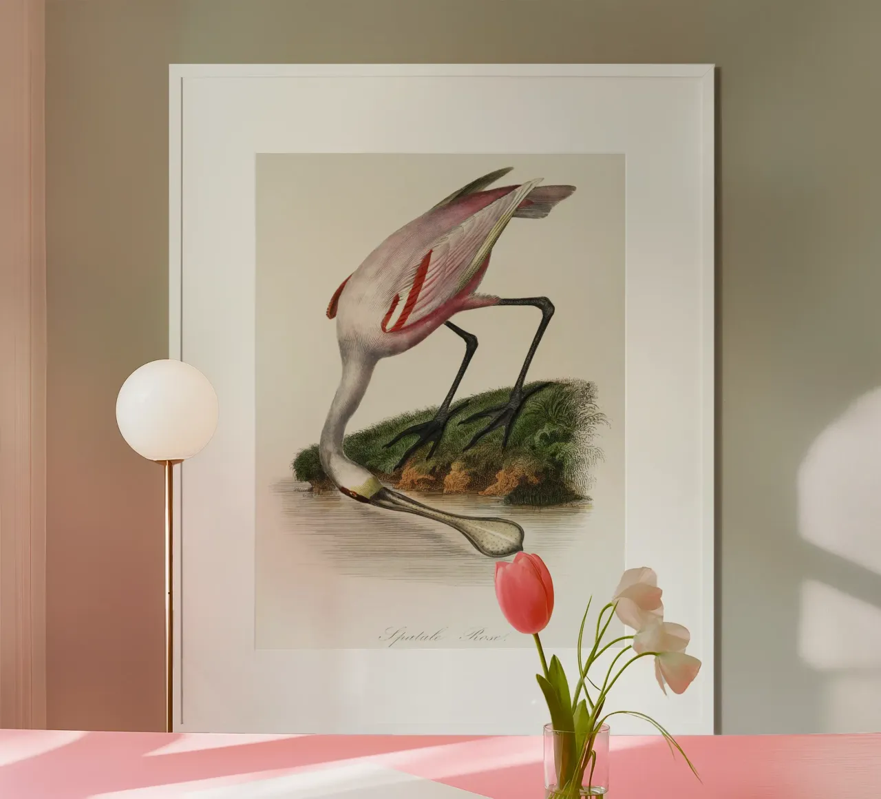 a roseate spoonbill by the water poster con telaio in alluminio da vintageshop