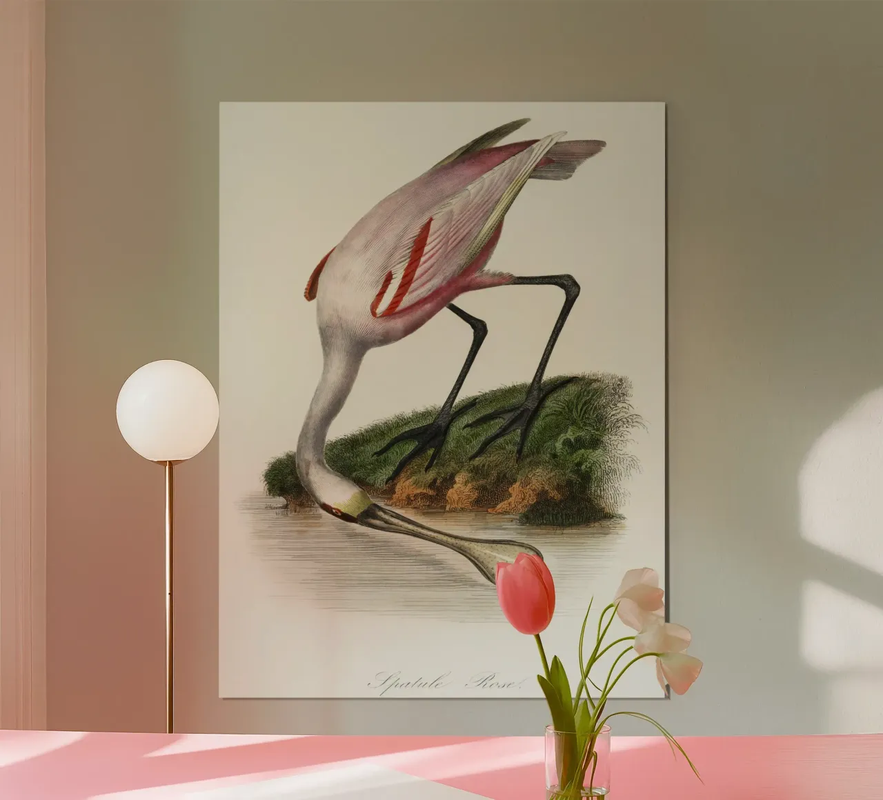 a roseate spoonbill by the water poster con telaio in alluminio da vintageshop