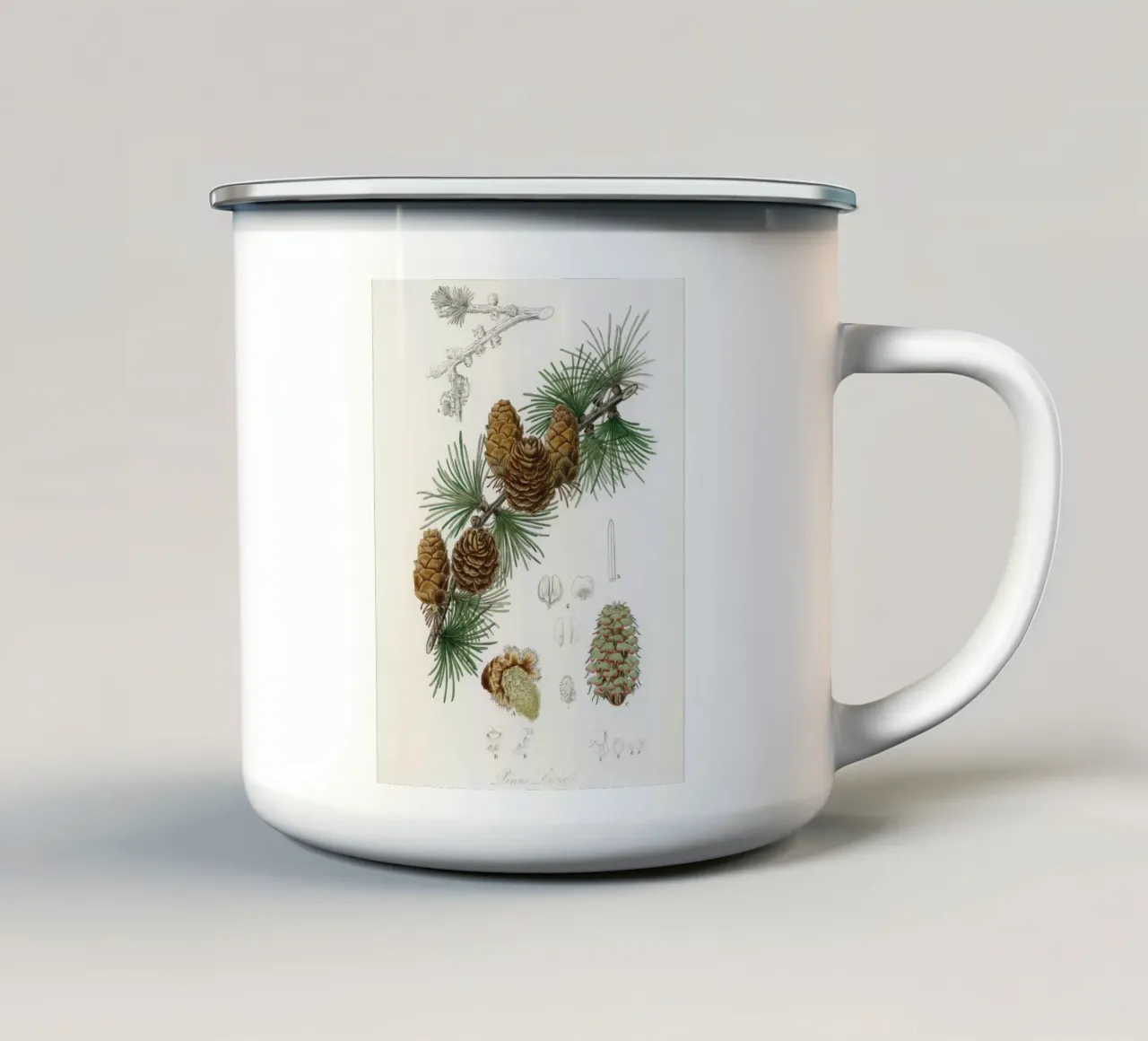 Linus larix illustration tazza in smalto da vintageshop