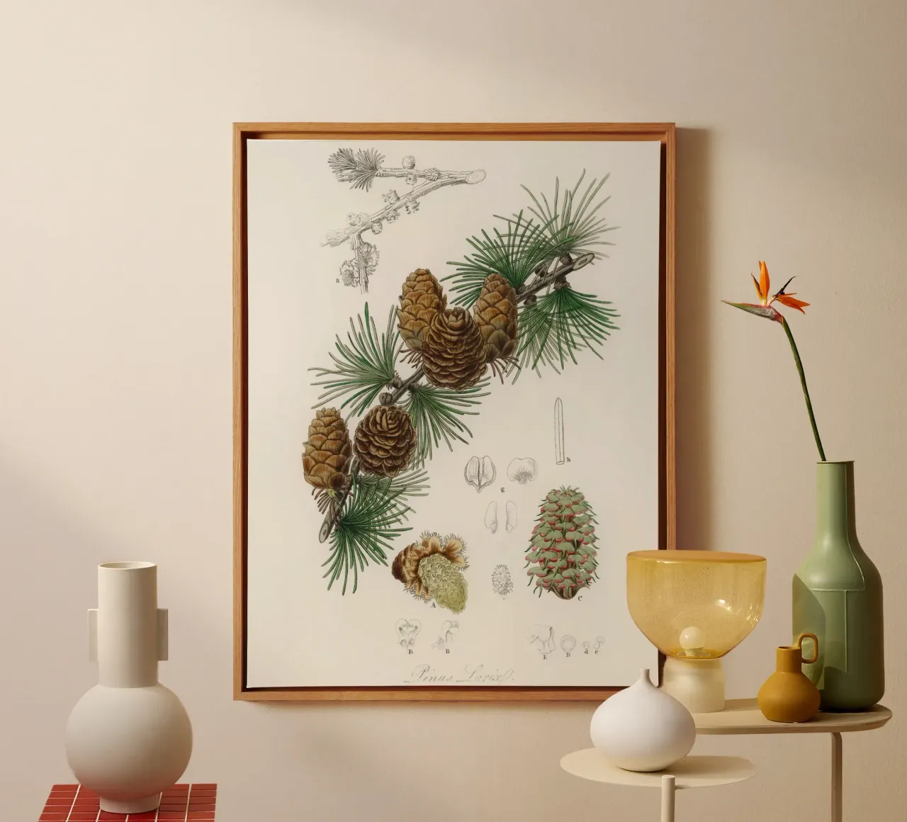 Linus larix illustration canvas met Baklijst van vintageshop