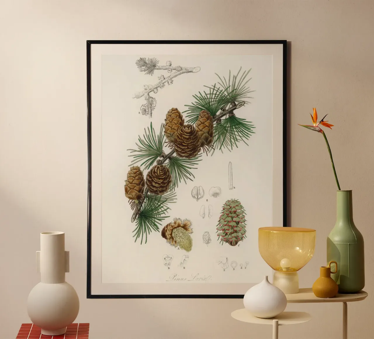 Linus larix illustration poster con telaio in plastica da vintageshop