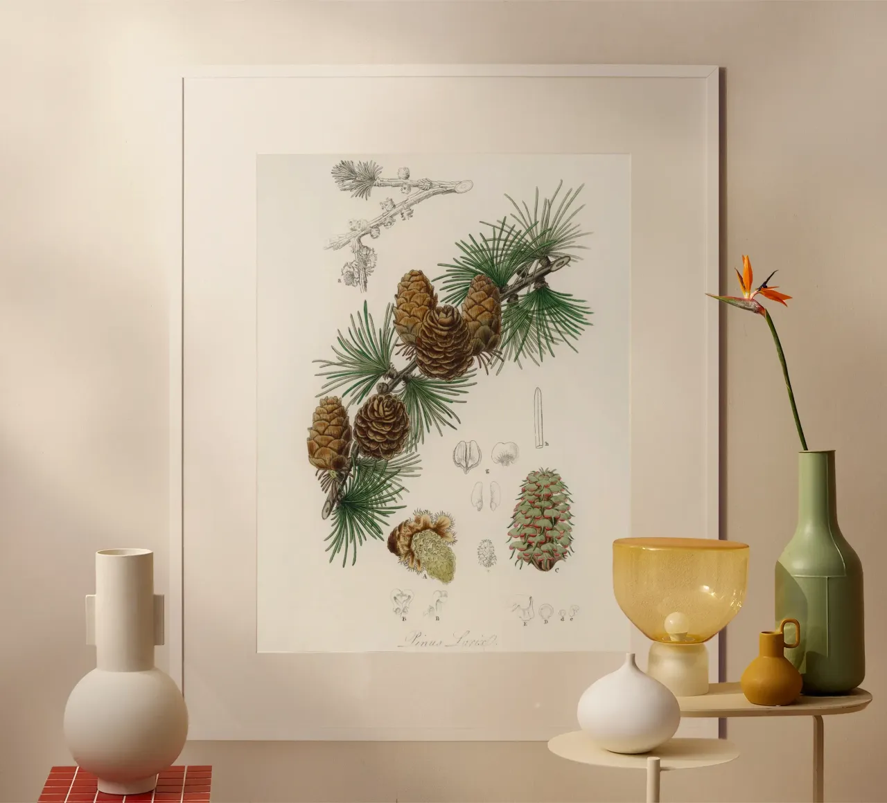 Linus larix illustration poster con telaio in plastica da vintageshop