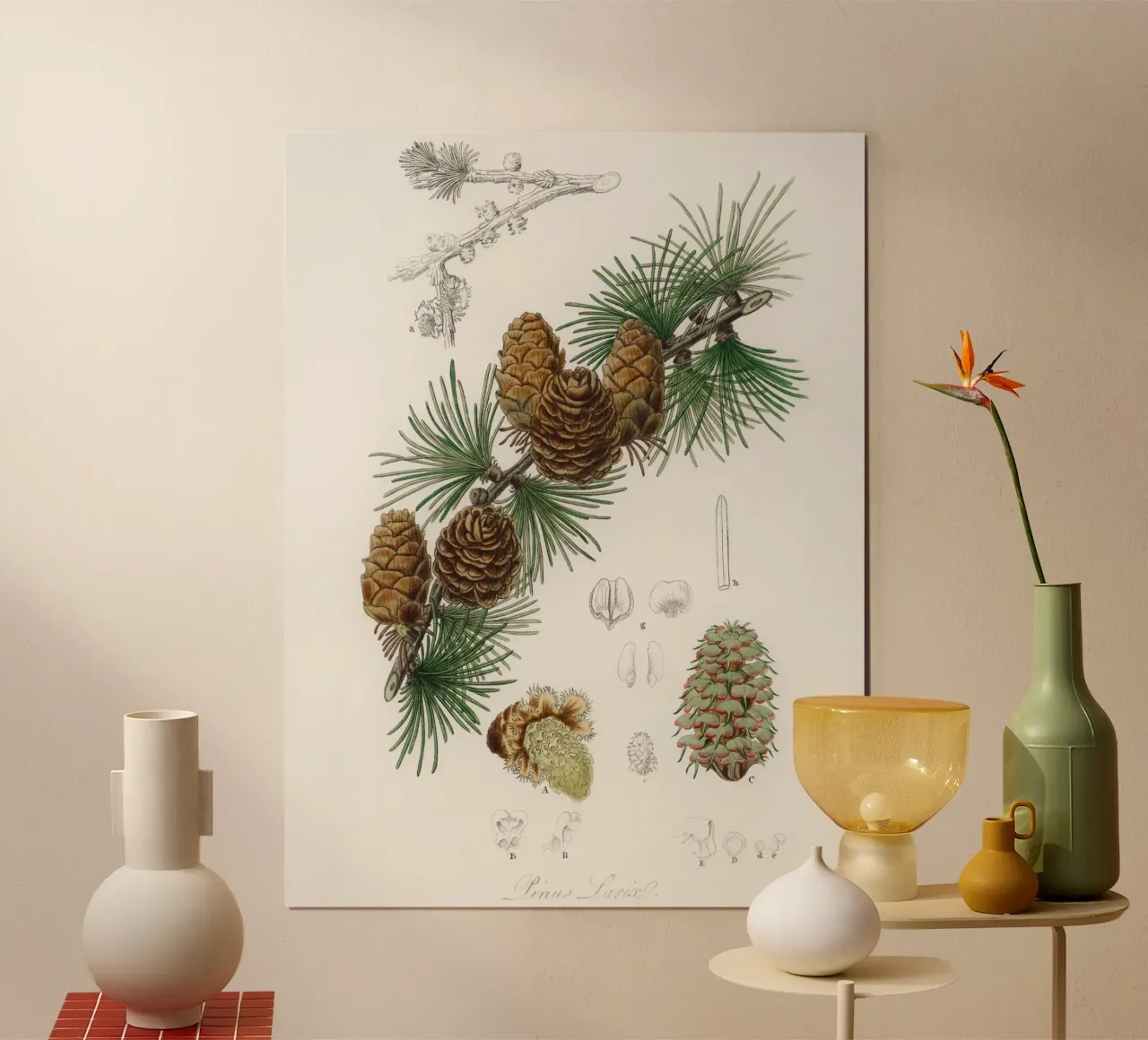 Linus larix illustration poster con telaio in plastica da vintageshop