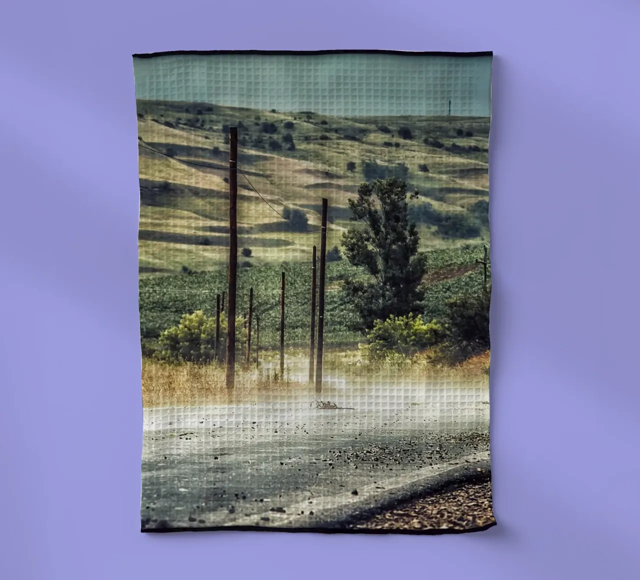 The Empty Curve - Poussière, lumière et silence torchon de jay