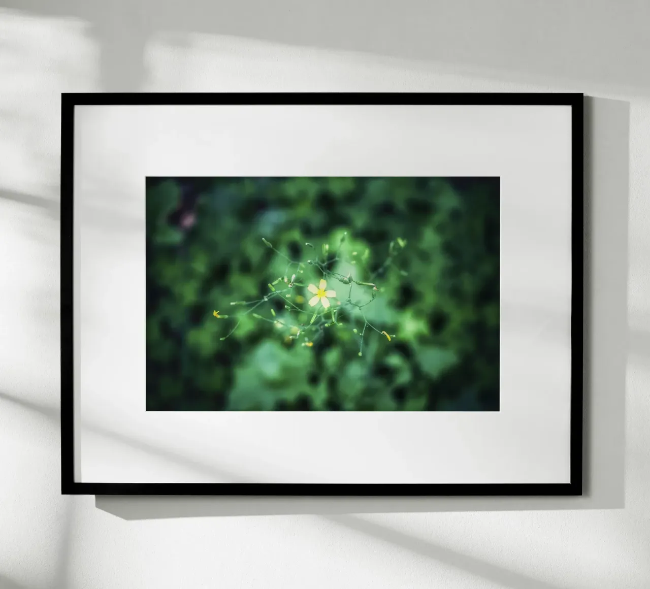 Cosmic Bloom - Kunstdruck Poster von jay