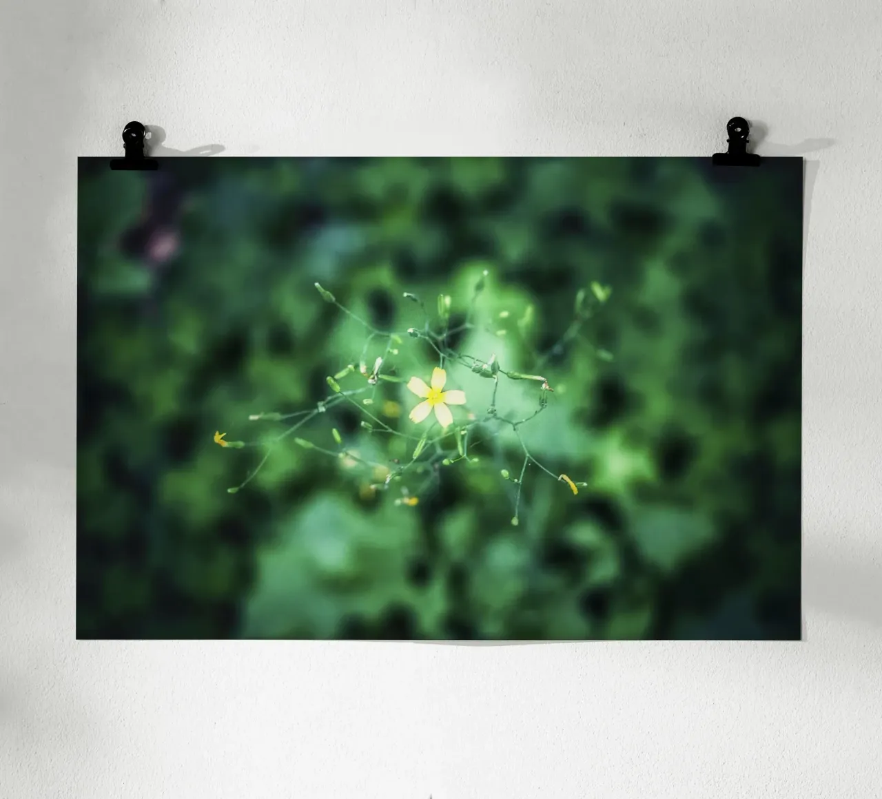 Cosmic Bloom - Kunstdruck Poster von jay
