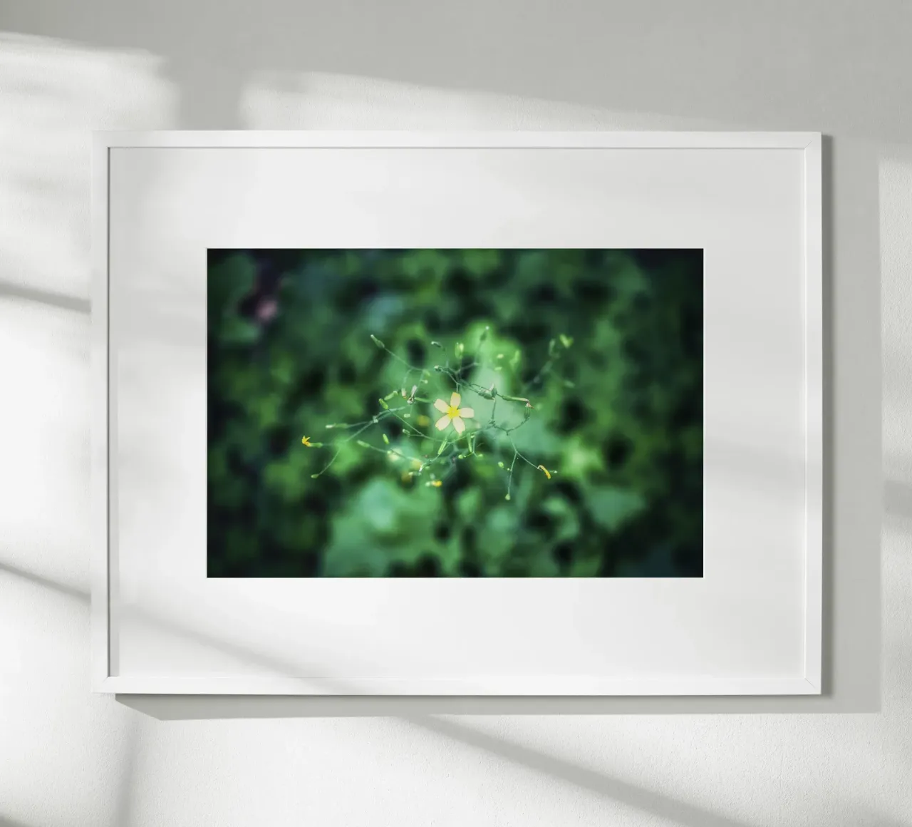 Cosmic Bloom - Kunstdruck Poster von jay