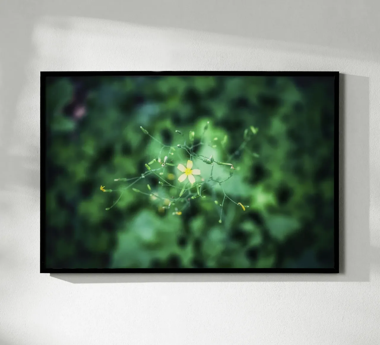 Cosmic Bloom - Kunstdruck Poster von jay