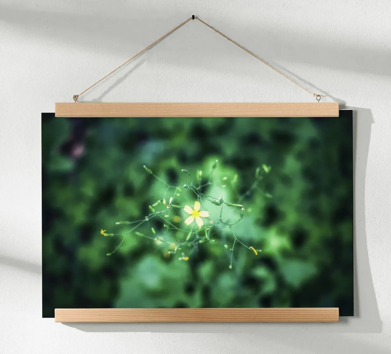Cosmic Bloom - Kunstdruck Poster von jay