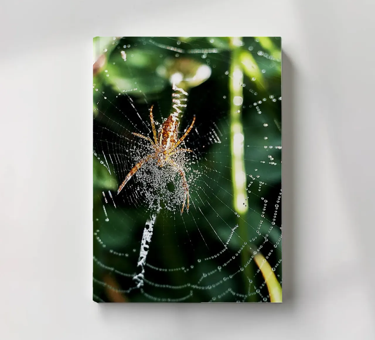 Web of Dawn – Fine Art Print notebook by jay