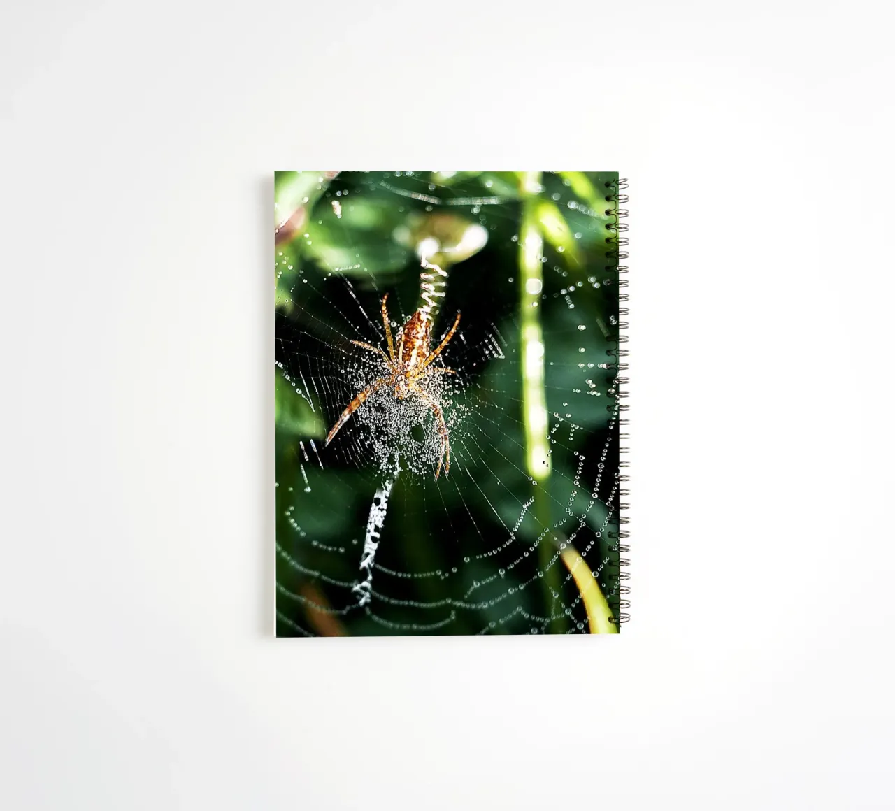 Web of Dawn – Fine Art Print spiral notebook by jay