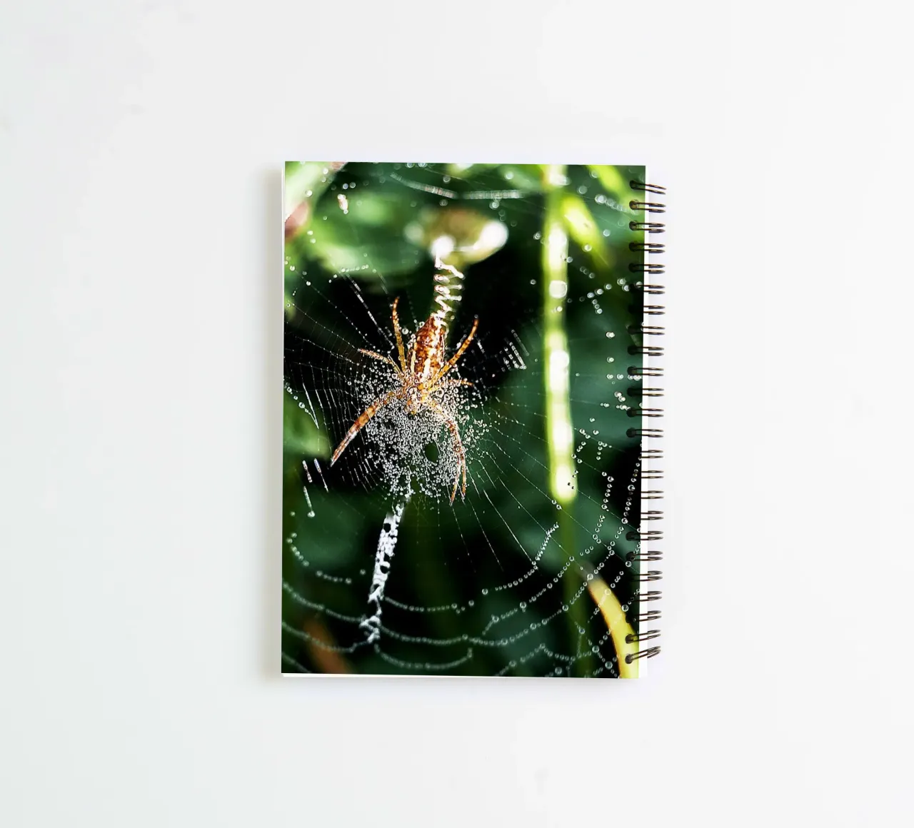 Web of Dawn – Fine Art Print spiral notebook by jay