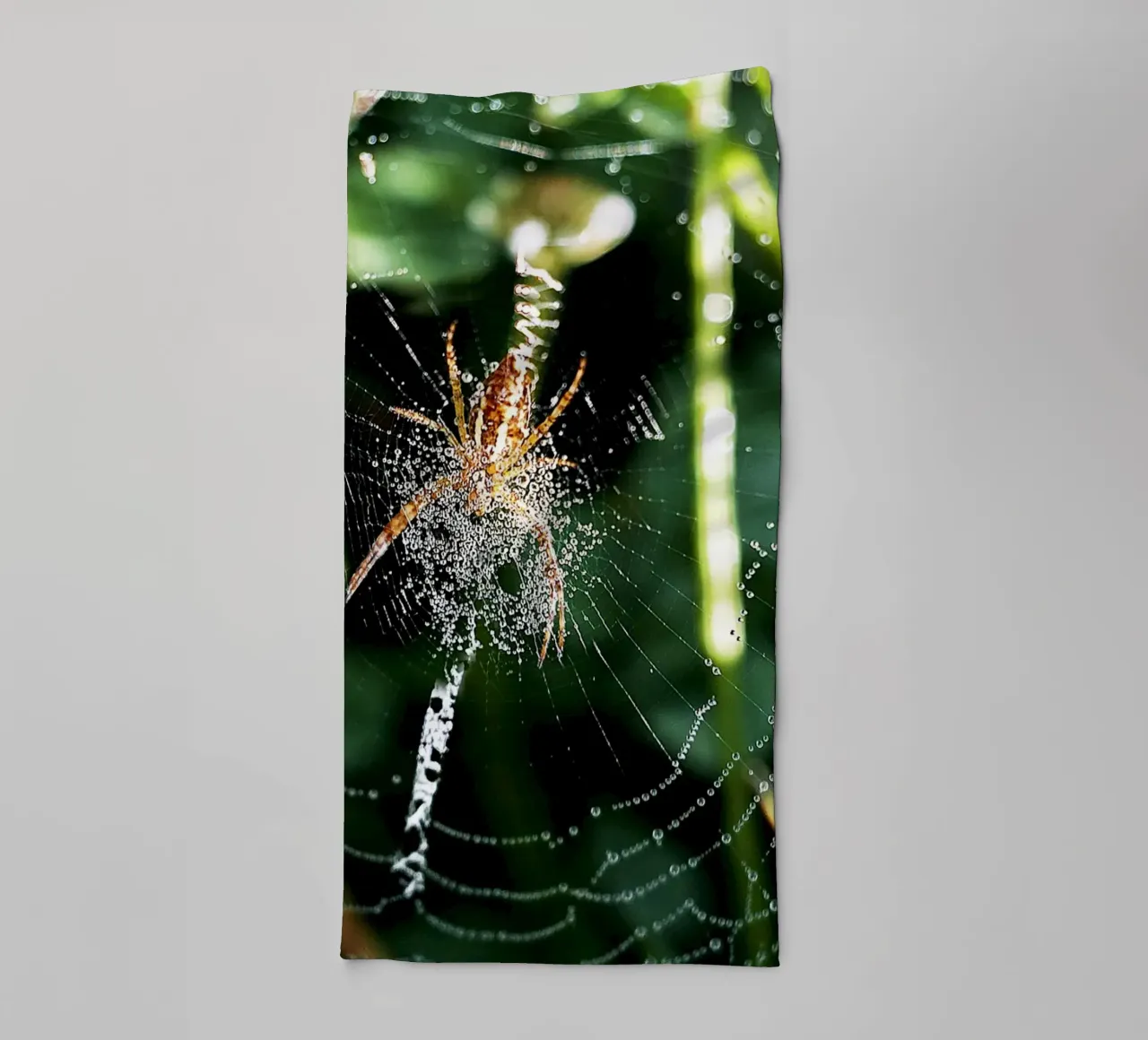 Web of Dawn – Fine Art Print towel by jay