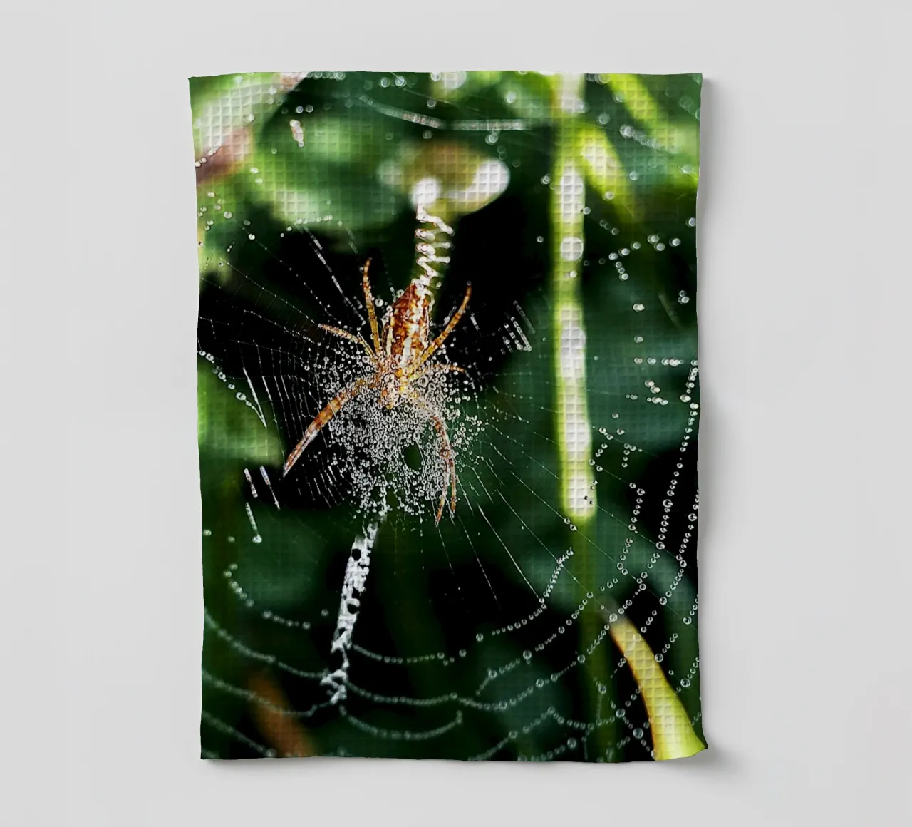 Web of Dawn – Fine Art Print tea towel by jay