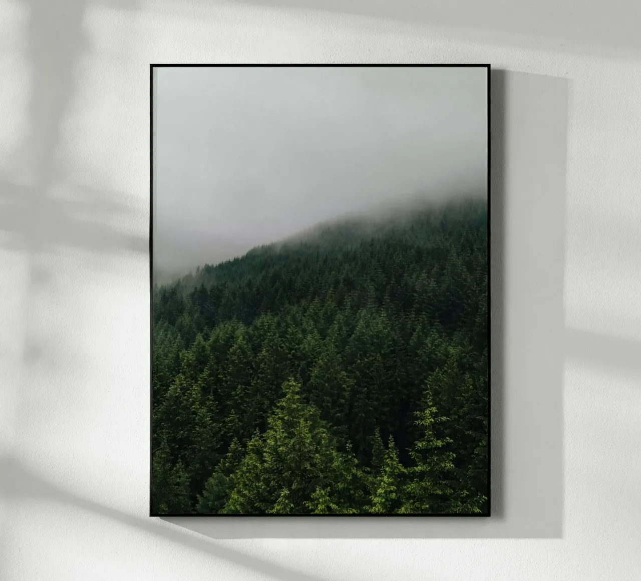 Misty Pines plexiglass da Lena Stamm