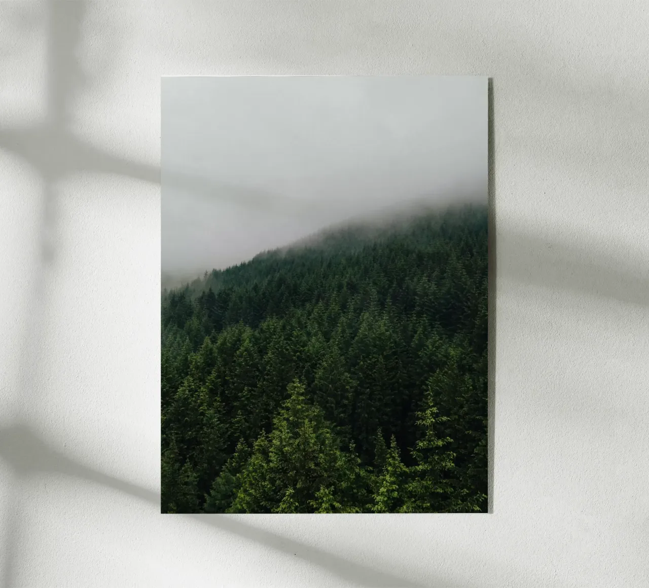 Misty Pines plexiglass da Lena Stamm