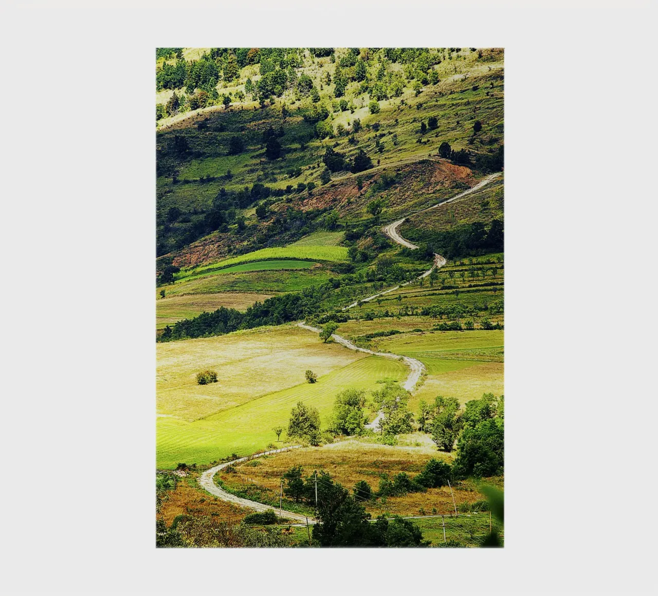 Serpentine Path – Fine Art Vertical Print notebook by jay